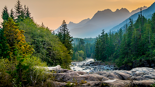 The importance of local media