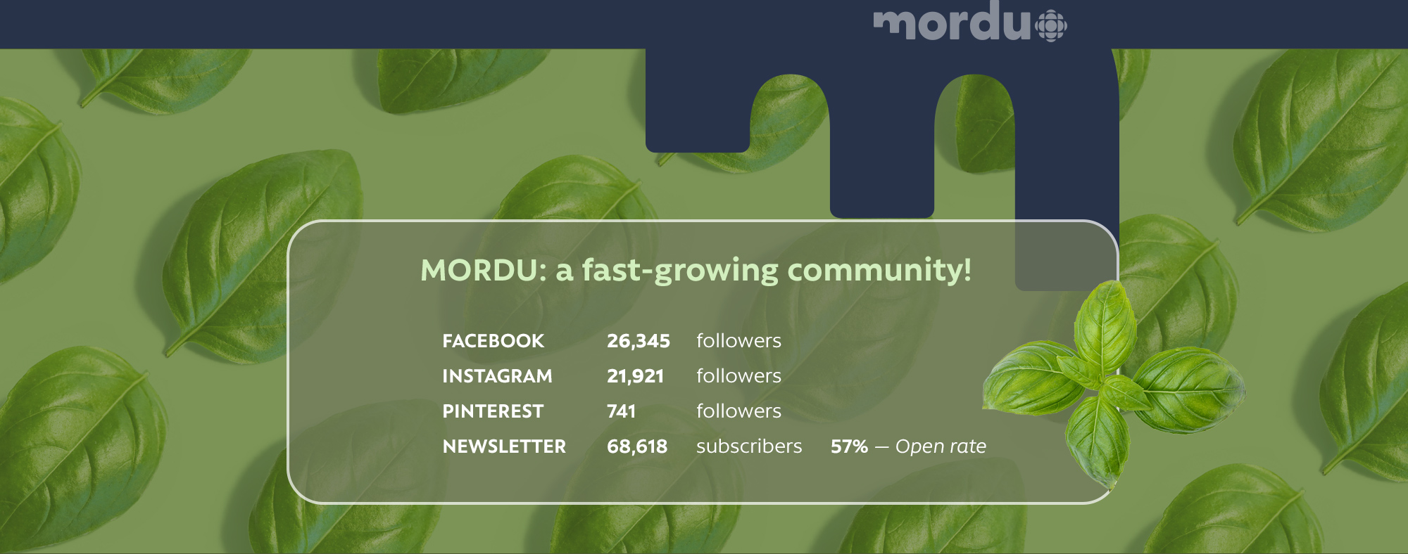 MORDU: a fast-growing community! FACEBOOK, INSTAGRAM, PINTEREST and NEWSLETTER
