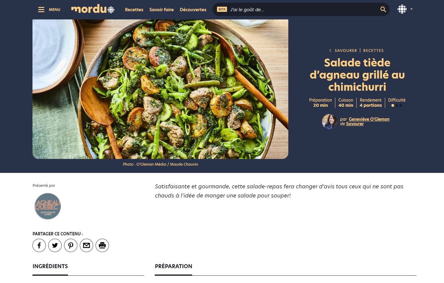 Logo Visibility Mordu Recipe